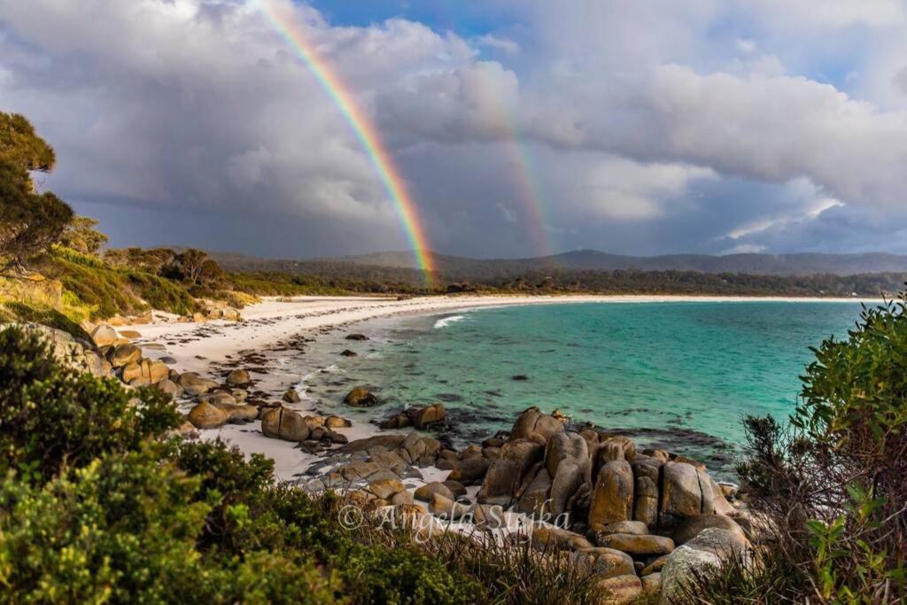 The Tin Shed Couples Accommodation At Bay Of Fires Binalong Bay Exterior photo